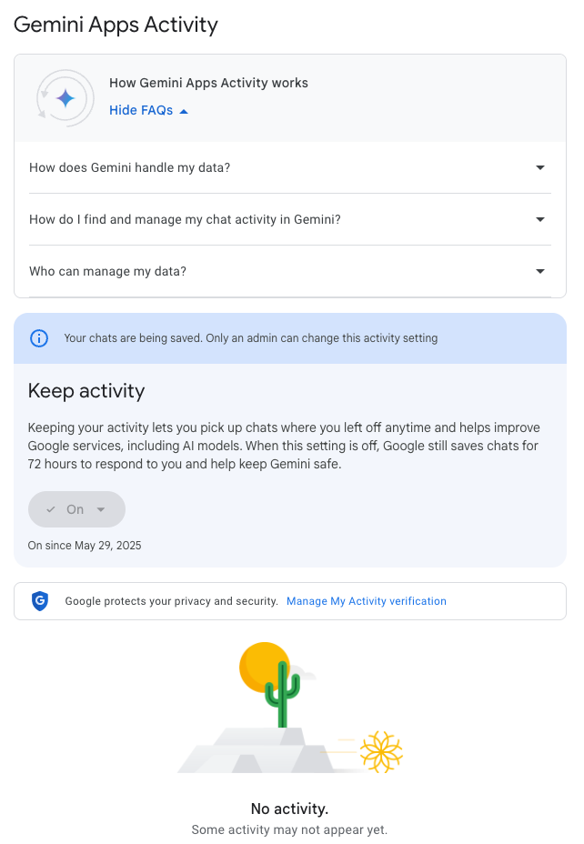 Google Gemini Activity