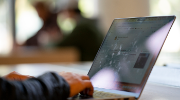 Exploring Privacy, Data Painting, and Hidden Biases