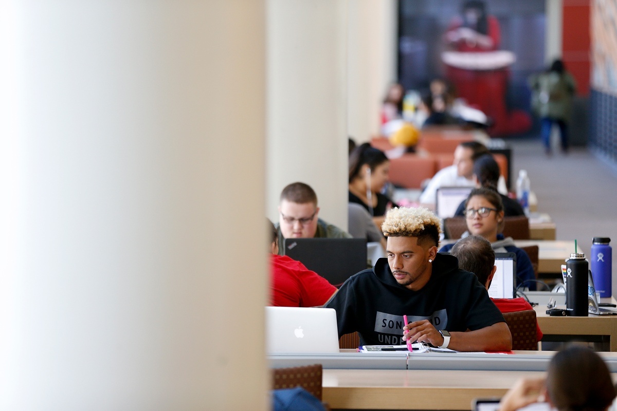 students sitting in library